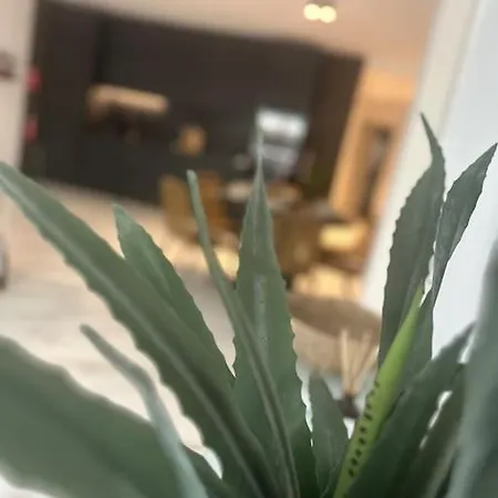 Apartmán Oasis *